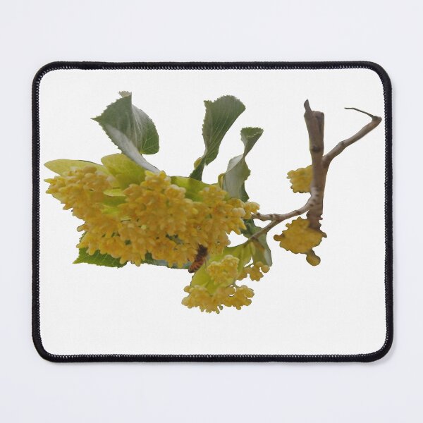 Item preview, flowering tree designed and sold by Kalhanne.