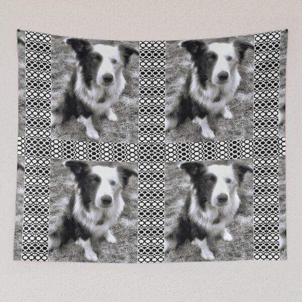 Item preview, BORDER COLLIE 2 designed and sold by gymmybob.