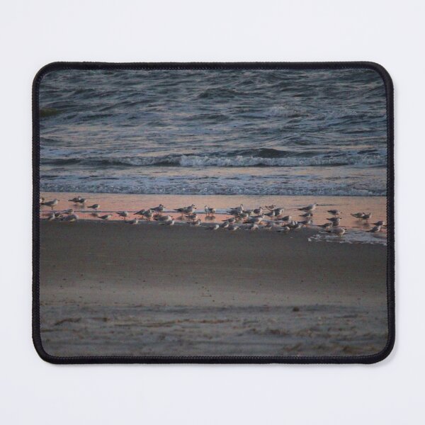 Item preview, Seabirds At Sunset designed and sold by Cynthia48.