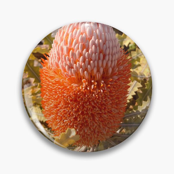 Item preview, Banksia menziesii designed and sold by Candy Green.