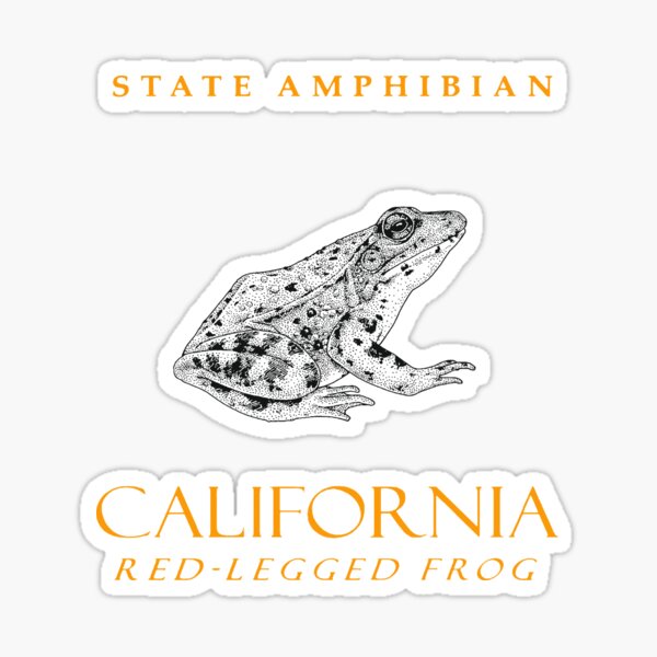 Aperçu de l'œuvre Amphibien du territoire de Californie La grenouille à pattes rouges créée et vendue par taiche.