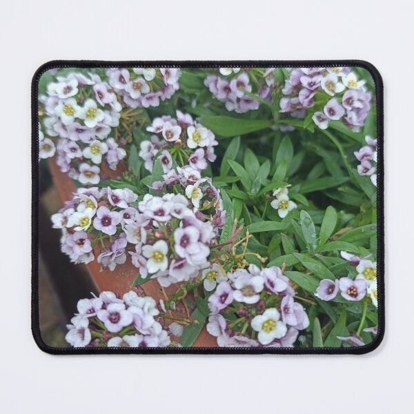 Item preview, Un mare di Alyssum designed and sold by Elizen81.