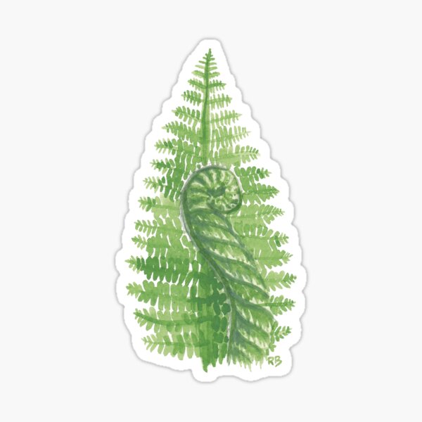 Item preview, Fern Frond and Fiddlehead  designed and sold by A_Guy_With_Art_Supplies.