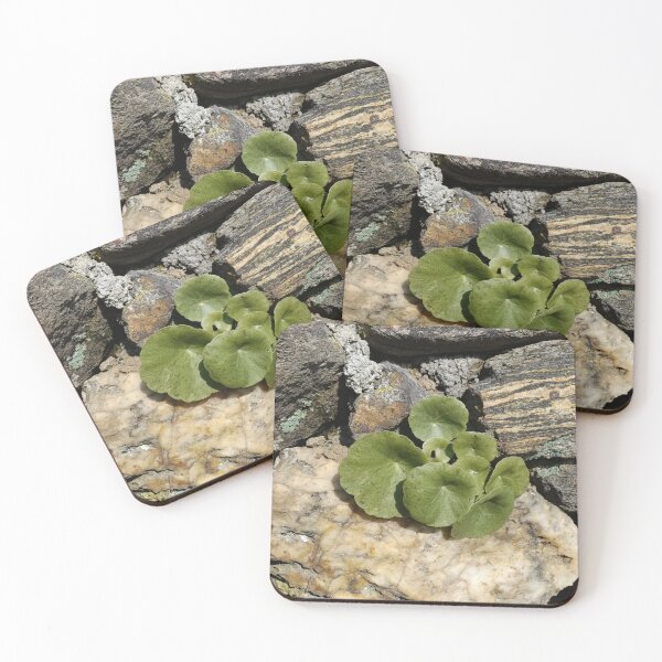 Item preview, Foglie di smeraldo sulla roccia designed and sold by Elizen81.