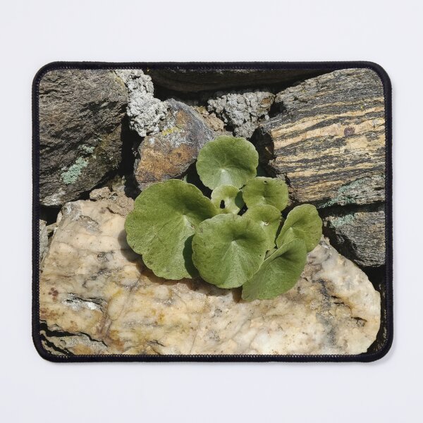 Item preview, Foglie di smeraldo sulla roccia designed and sold by Elizen81.
