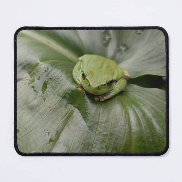 Item preview, Relax su foglia designed and sold by Elizen81.