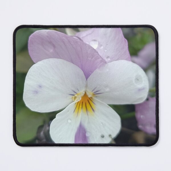 Item preview, Viola del pensiero in fiore designed and sold by Elizen81.