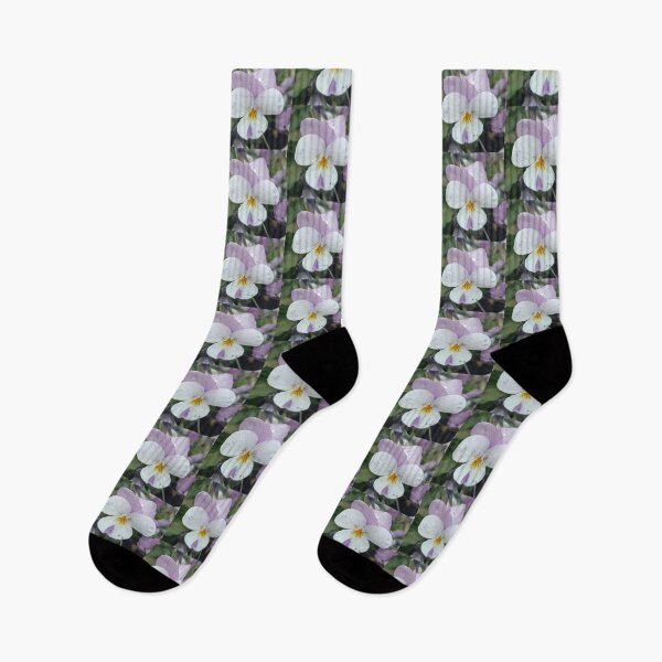 Item preview, Viola del pensiero in fiore designed and sold by Elizen81.