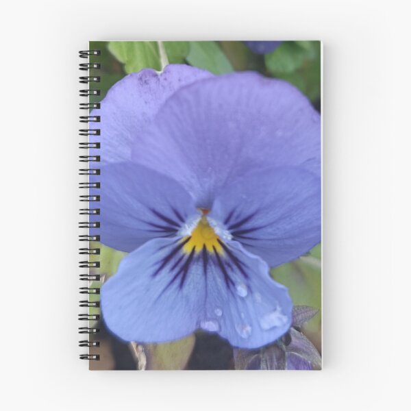 Item preview, Viola del pensiero blu intenso designed and sold by Elizen81.