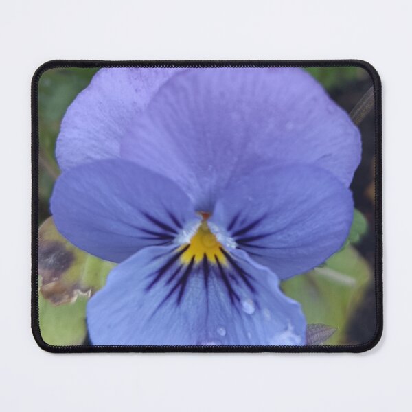 Item preview, Viola del pensiero blu intenso designed and sold by Elizen81.