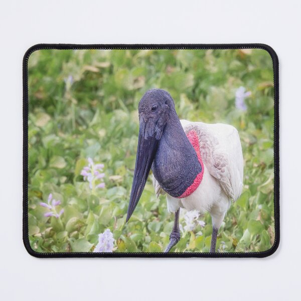 Item preview, Jabiru Stork Amid Water Hyacinths Pantanal Brazil Artistic designed and sold by PhotoArt by Joan Carroll.