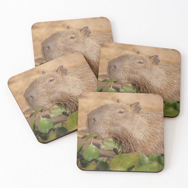 Item preview, Capybara Mealtime Pantanal Brazil designed and sold by PhotoArt by Joan Carroll.