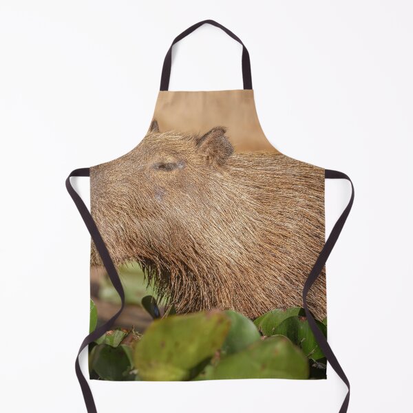 Item preview, Capybara Mealtime Pantanal Brazil designed and sold by PhotoArt by Joan Carroll.