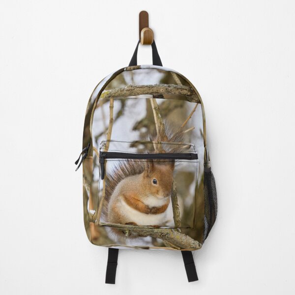 Item preview, Full as full can be. Red squirrel designed and sold by Jouko Lehto Photography.