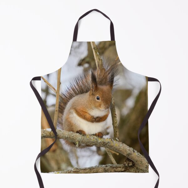 Item preview, Full as full can be. Red squirrel designed and sold by Jouko Lehto Photography.