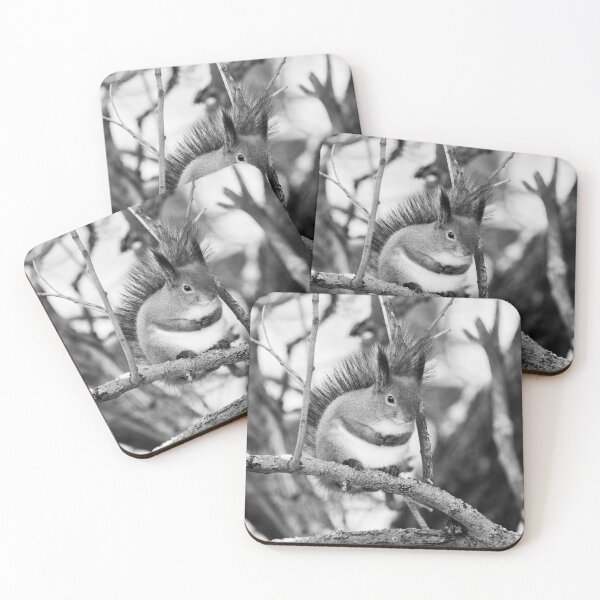 Item preview, Full as full can be. Red squirrel bw designed and sold by Jouko Lehto Photography.