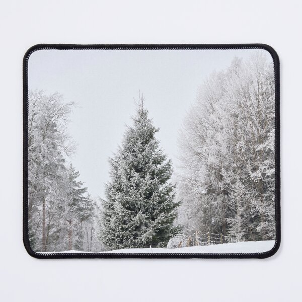 Item preview, The Spruce in the middle. Seitseminen designed and sold by Jouko Lehto Photography.