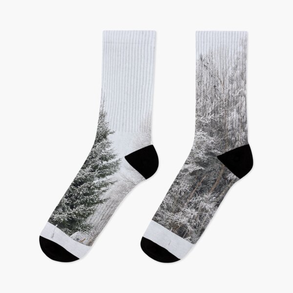 Item preview, The Spruce in the middle. Seitseminen designed and sold by Jouko Lehto Photography.