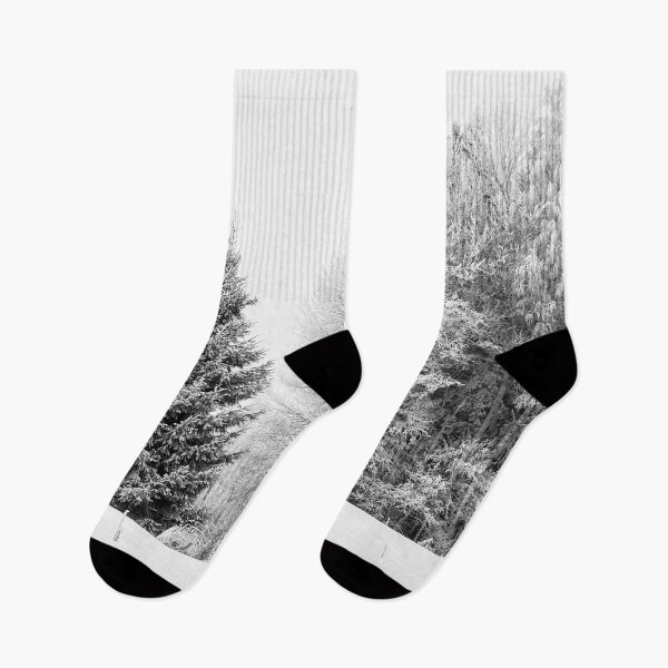 Item preview, The Spruce in the middle. Seitseminen bw designed and sold by Jouko Lehto Photography.
