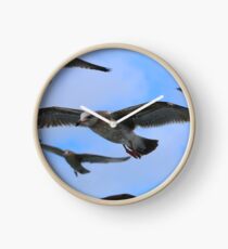 Many Seagulls Clock