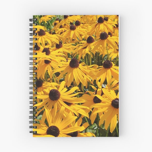 Item preview, coneflower designed and sold by StefanoARTo.