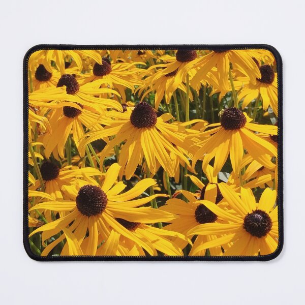 Item preview, coneflower designed and sold by StefanoARTo.