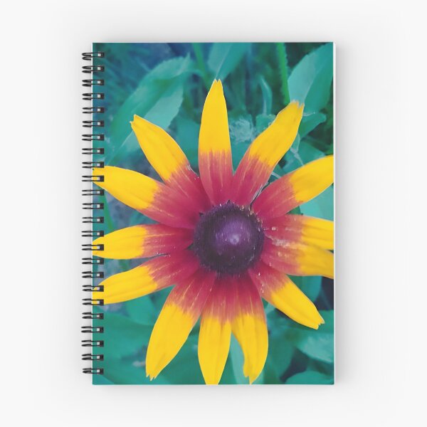 Item preview, coneflower designed and sold by StefanoARTo.