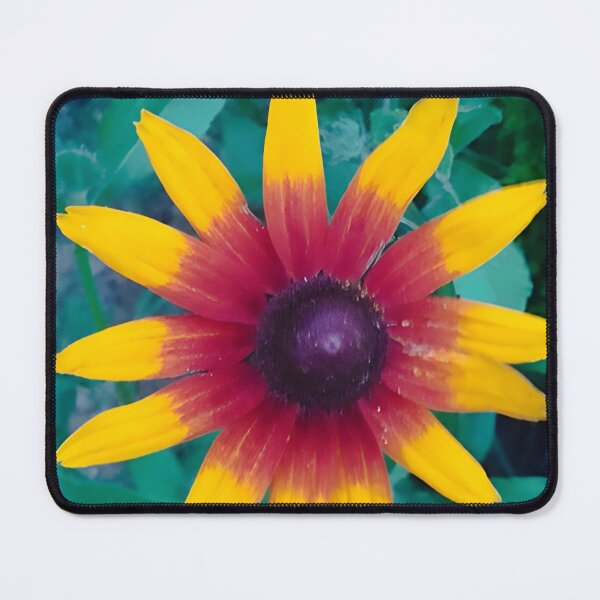 Item preview, coneflower designed and sold by StefanoARTo.