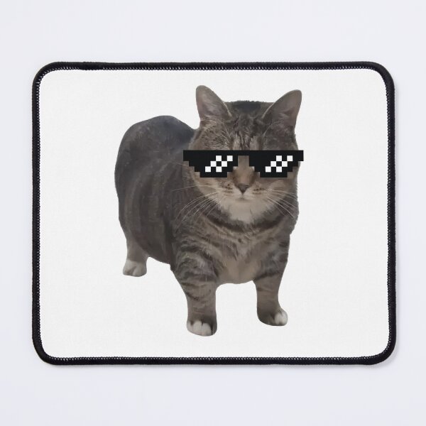 Item preview, OIIA CAT spinning funny trend meme designed and sold by NovaCarter.