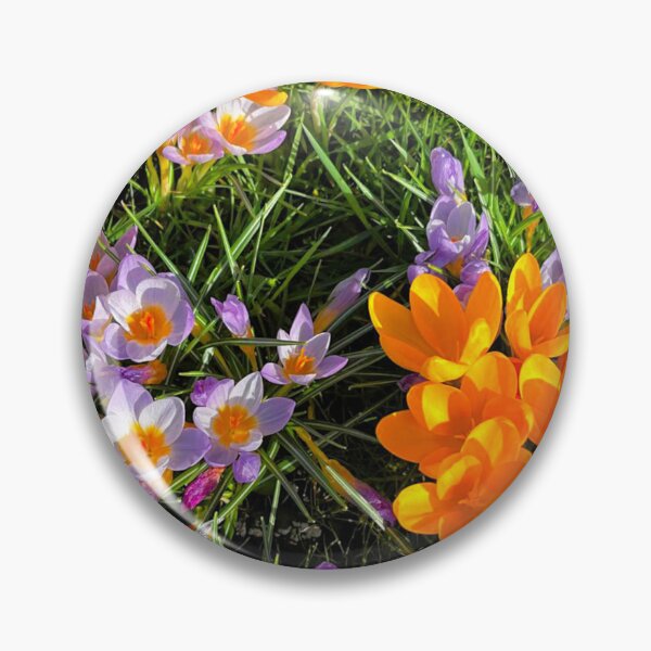 Item preview, Spring Crocuses in Spring Sunshine designed and sold by Violaman.