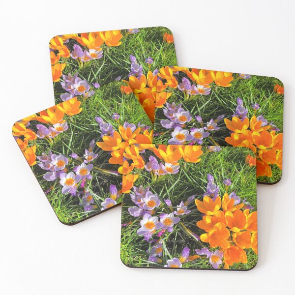 Item preview, Spring Crocuses in Spring Sunshine designed and sold by Violaman.