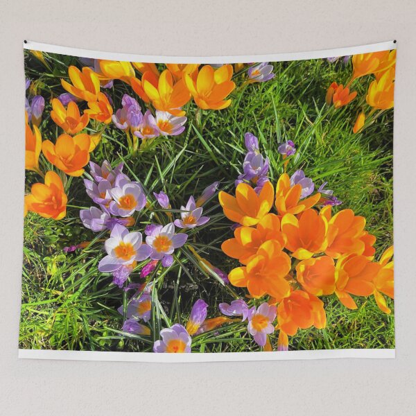 Item preview, Spring Crocuses in Spring Sunshine designed and sold by Violaman.