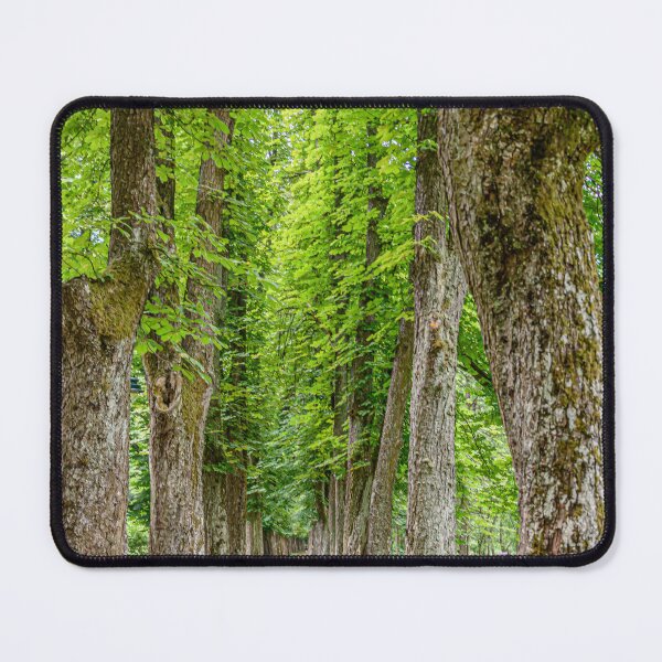 Item preview, Tree alley designed and sold by vedadc.