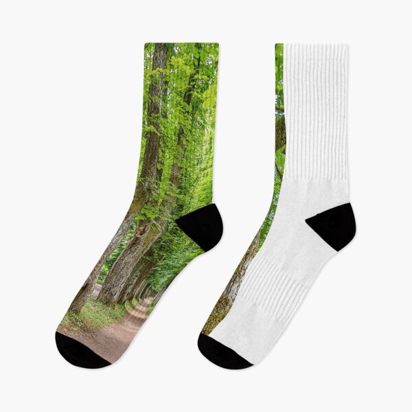 Item preview, Tree alley designed and sold by vedadc.