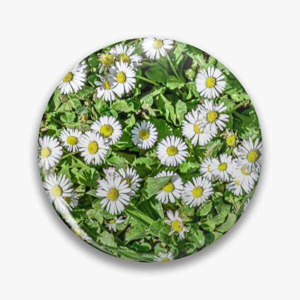 Item preview, Bellis designed and sold by vedadc.