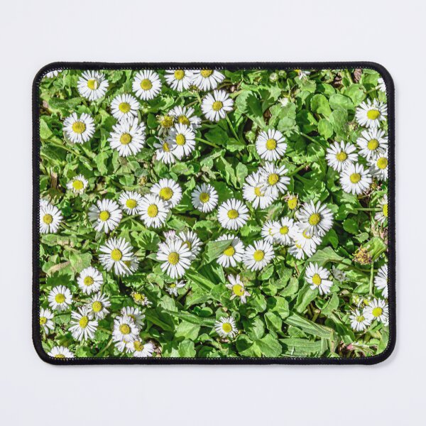 Item preview, Bellis designed and sold by vedadc.