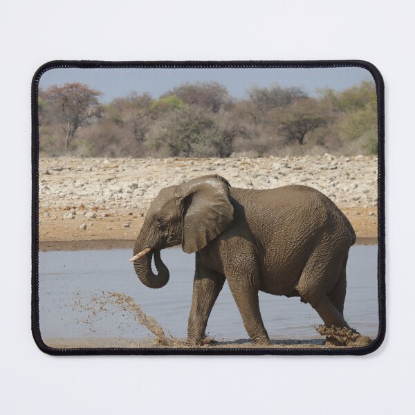 Item preview, Elephant in a waterpool in Etosha designed and sold by Proud & Pretty Wildlife Photography.