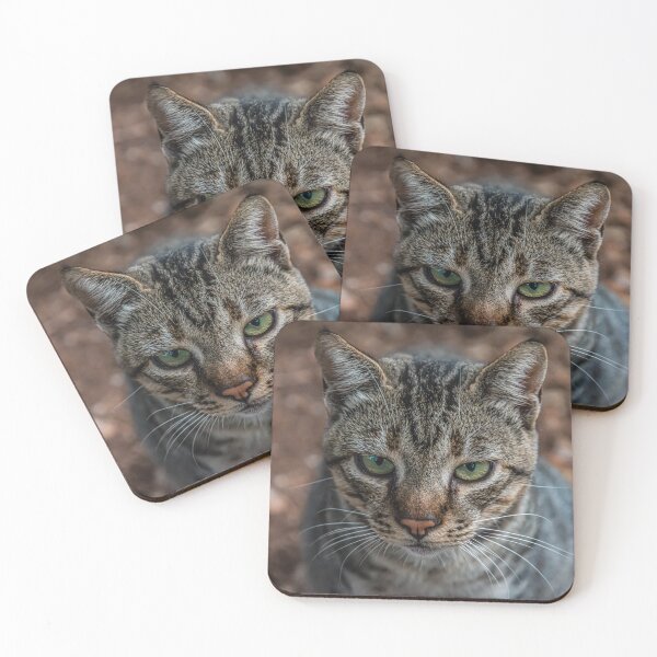 Item preview, Cat's dangerous look designed and sold by vedadc.
