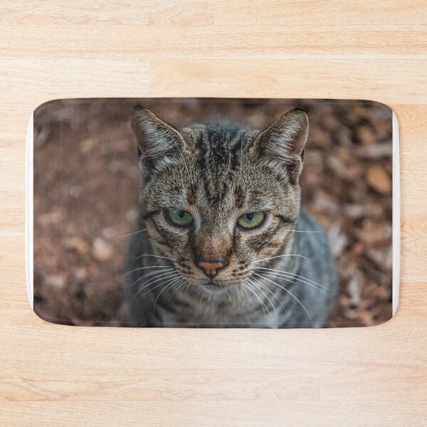 Item preview, Cat's dangerous look designed and sold by vedadc.