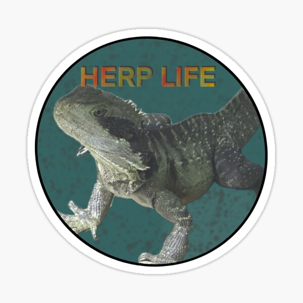 Item preview, Herp Life: The Water Dragon Edition designed and sold by rarebeasts.