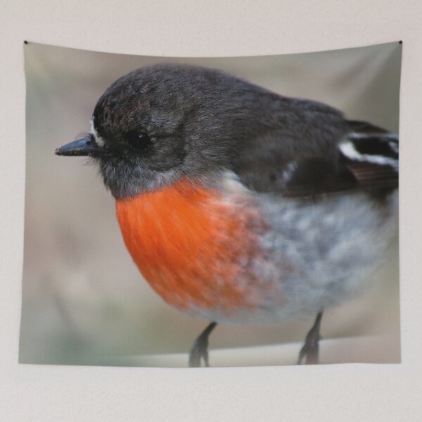 Item preview, Red Breasted Robin, Robbin Pillow designed and sold by Ohlordi.