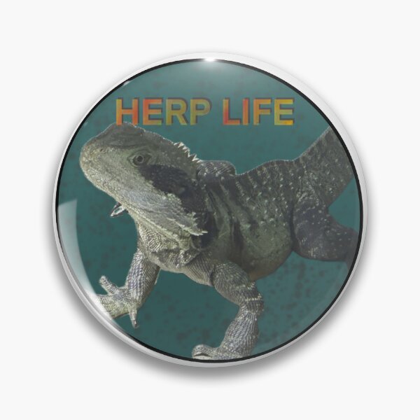 Item preview, Herp Life: The Water Dragon Edition designed and sold by rarebeasts.
