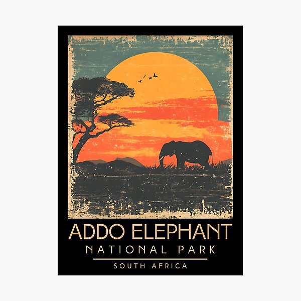 Artikelvorschau, Eine Vintage Illustration des Addo Elephant National Park - Südafrika entworfen und verkauft von GoodOldVintage.