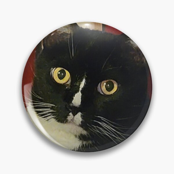 Item preview, Regal Sweet Tuxedo Cat designed and sold by Rebecca Jane.