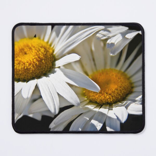 Item preview, Daisy Duet designed and sold by heatherfriedman.