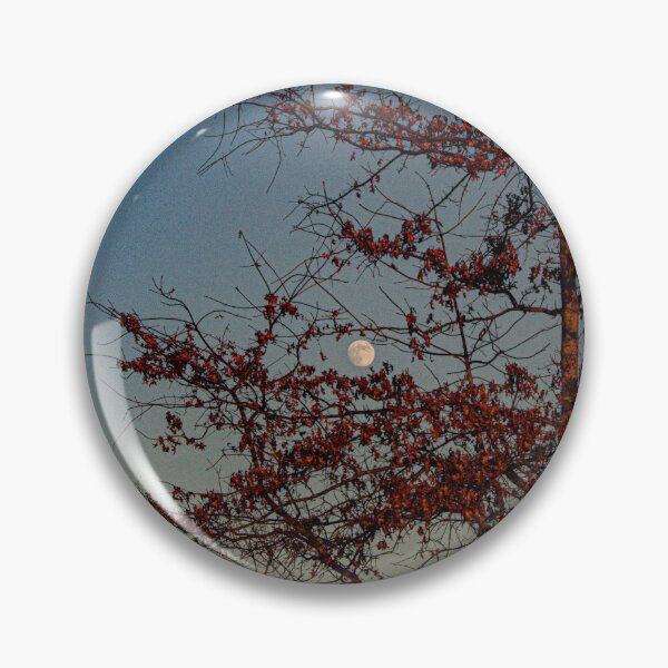 Item preview, Moon in the Trees, in Color designed and sold by Split2ndPhotos.