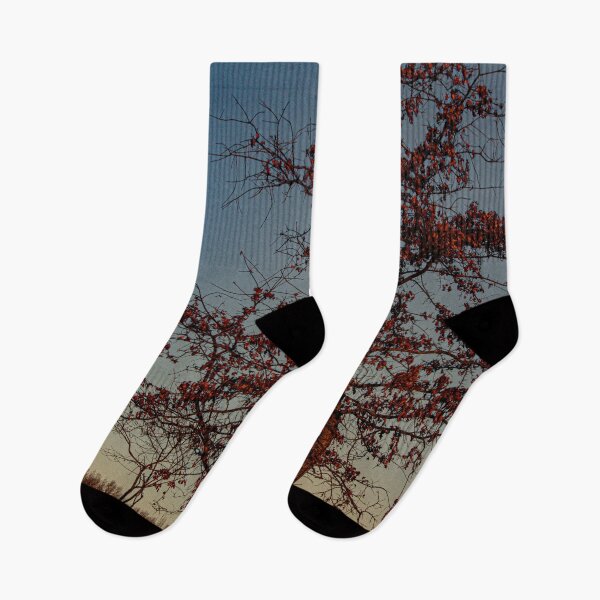 Item preview, Moon in the Trees, in Color designed and sold by Split2ndPhotos.