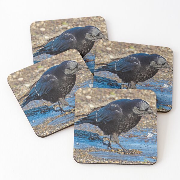 Item preview, Close-up of a crow digging in a puddle designed and sold by lisavonbiela.