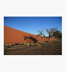 Dune 45,Dead Tree in morning sunshine Fotodruck