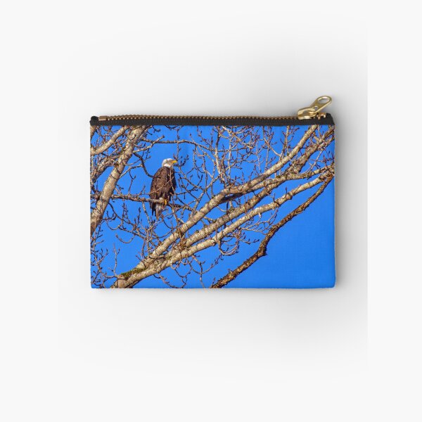 Item preview, Eagle perched in tree in late day sun designed and sold by lisavonbiela.